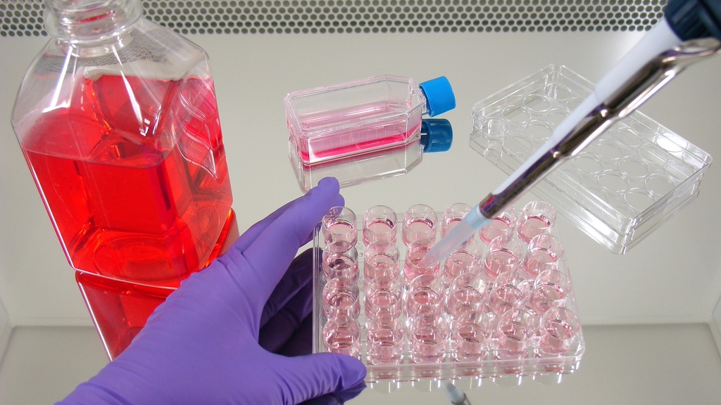 AmnioPrime - complete medium for cultivation of amnion and chorionic villi cellsComing soon...