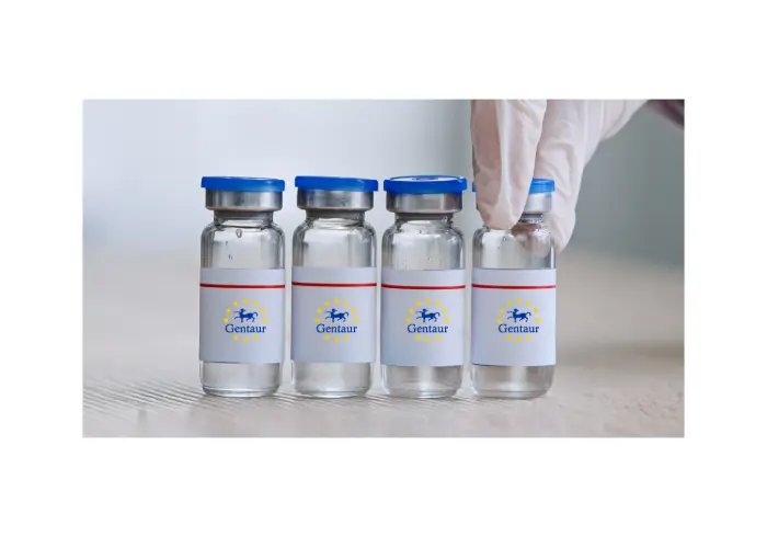 [GEN - VSTX001-1mg] Shiga Like Toxin 1