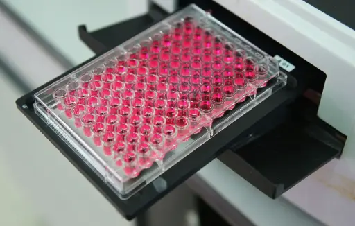 [RDR-Vaspin-Hu-02] Human Visceral Adipose Tissue Derived Serine Protease Inhibitor (Vaspin) ELISA Kit