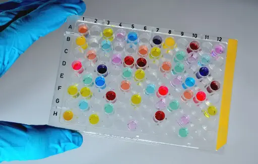 [RDR-LUM-Hu-01] Human Lumican (LUM) ELISA Kit